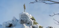 15 eis- und schneekristalle schmuecken das gipfelkreuz des zwerchecks